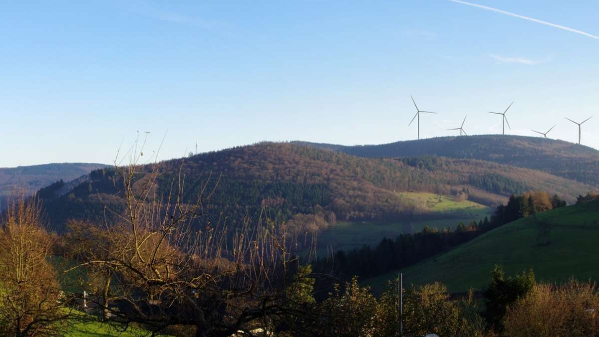 Bürgerentscheid: Eberbach sagt Ja zu Windpark