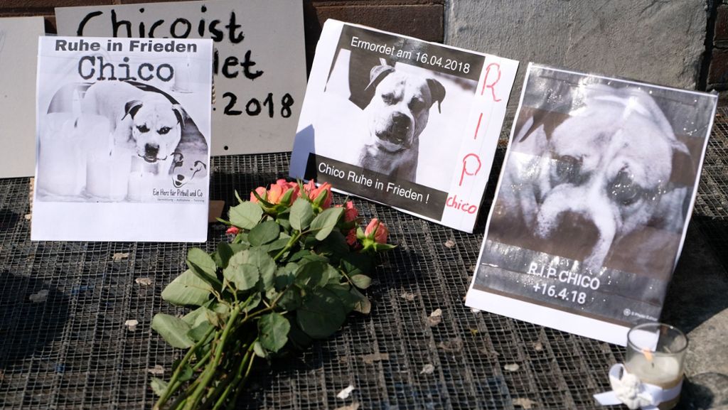 Hannover: Mahnwache für getöteten Hund „Chico“