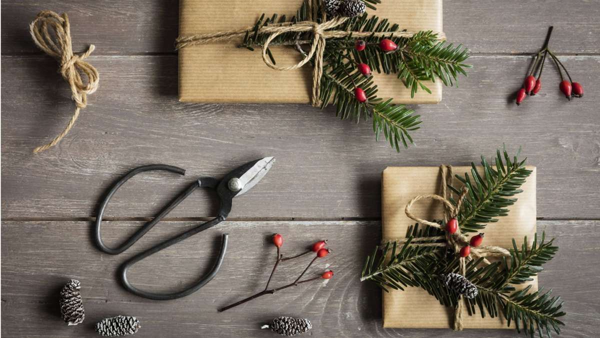 Tipps für Weihnachten: Sieben Geschenke, über die sich „Ökos“ freuen