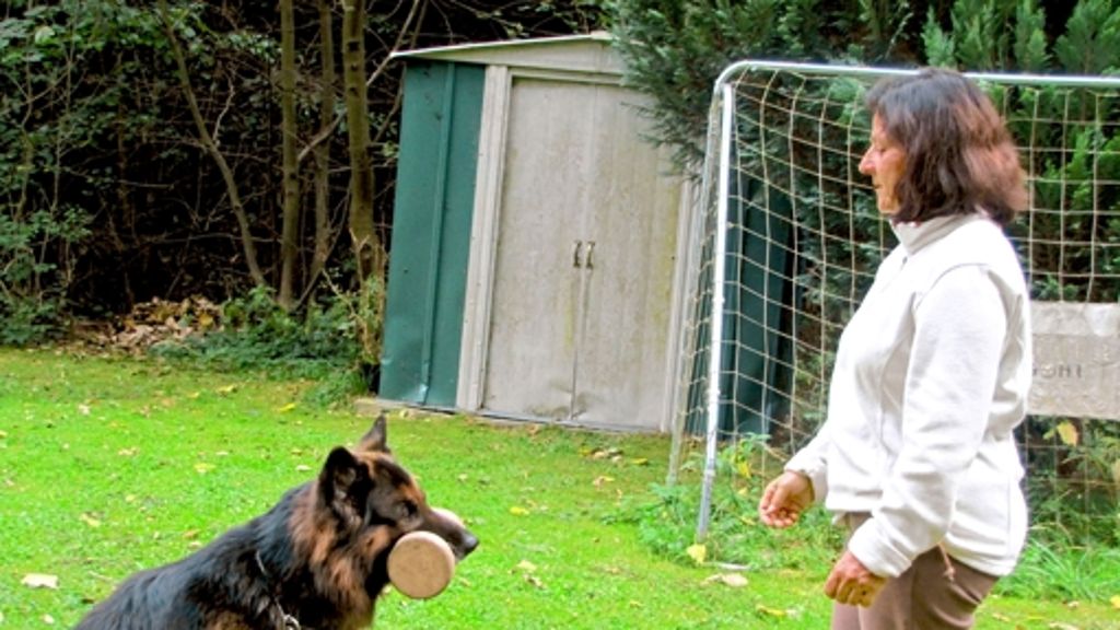 Schäferhunde Stuttgart Süd: Arkan weiß,  sich zu benehmen