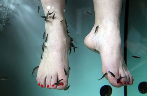 Forscher haben die Kosmetik-Behandlung  an den Füßen unter die Lupe genommen. Foto: imago stock&people/imago stock&people