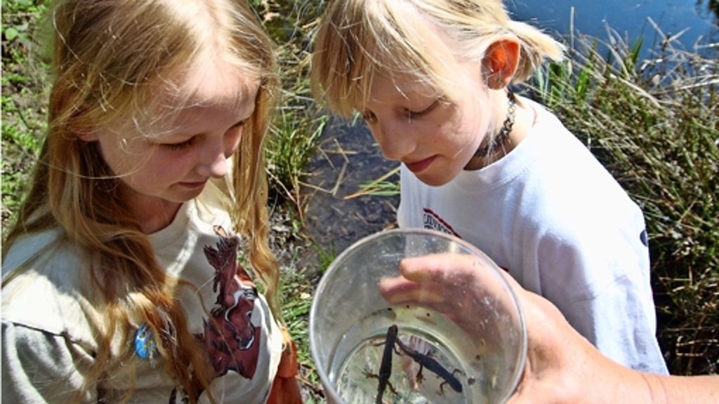 Naturbotschafter in Stuttgart-Vaihingen: Kinder entdecken Biotope vor ihrer Haustür
