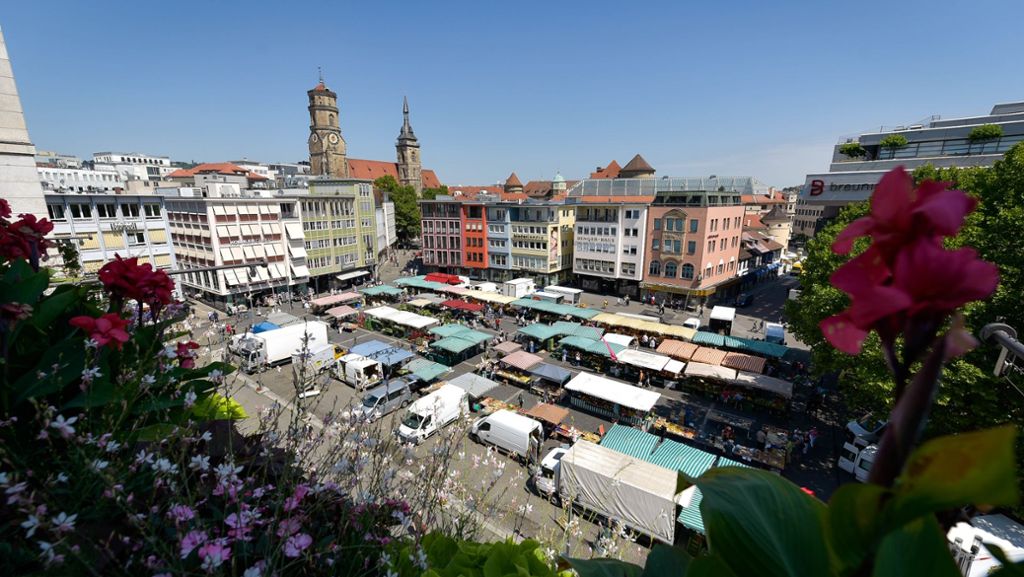 Platzumgestaltung in Stuttgart: Bäume könnten Hitzestress auf dem Marktplatz abbauen