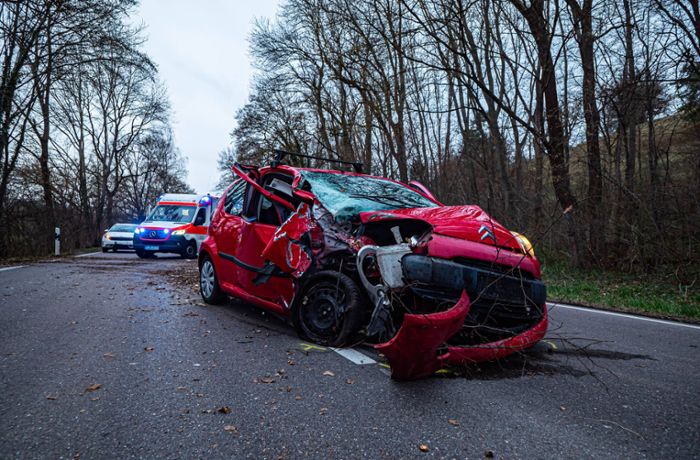 Unfall in Stuttgart-Birkach: 21-jähriger Autofahrer kollidiert mit Baum