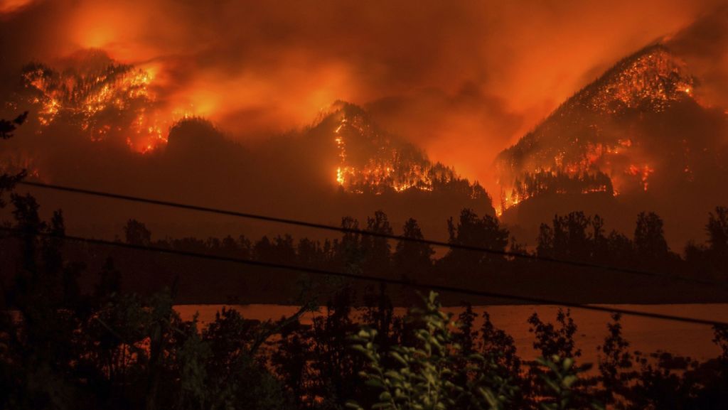 Waldbrand in den USA: Feuer verursacht - Teenager muss Millionen abzahlen