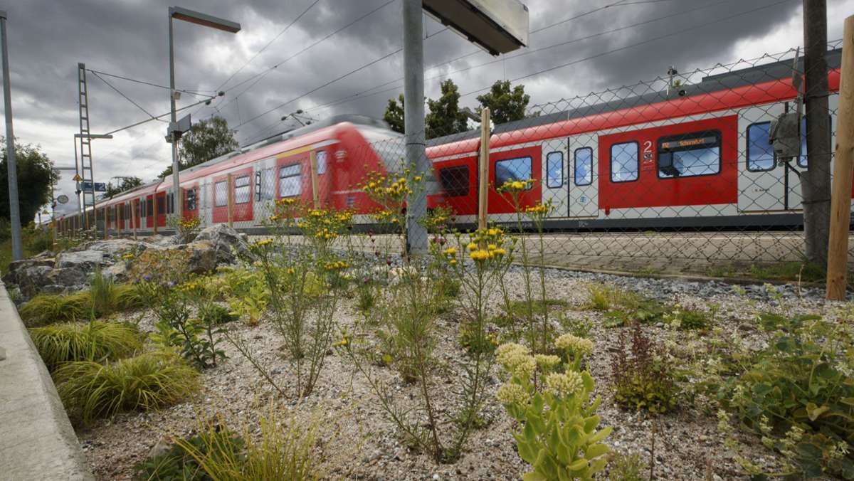 Bahnhof Schorndorf gesperrt: Kinder legen Metallplatten aufs Gleis