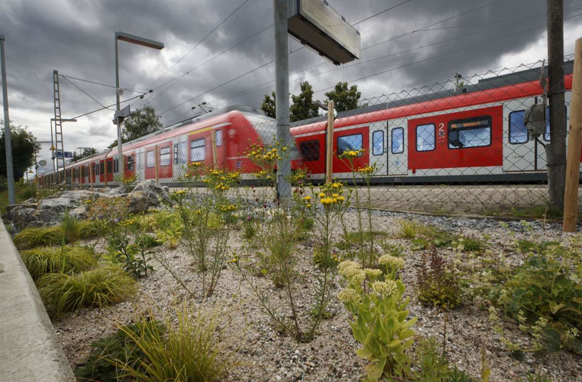 Der Bahnhof Schorndorf wurde für rund eine Stunde gesperrt (Symbolbild). Foto: Gottfried Stoppel