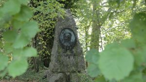 Für Baumfreunde und Naturliebhaber: Der Schlosspark Hohenheim