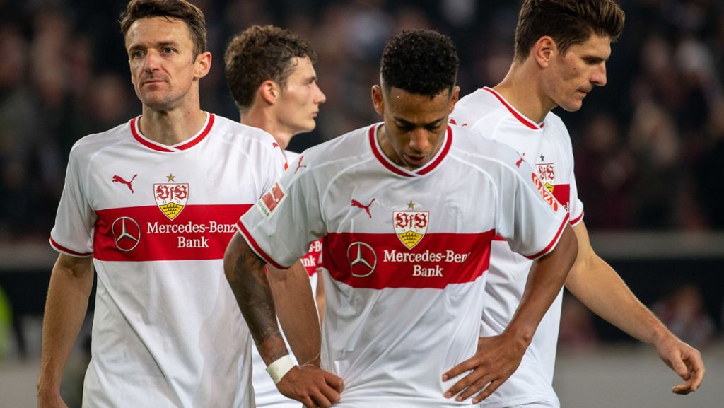 VfB Stuttgart bei Bayer Leverkusen: Nicht nur Christian Gentner und Mario Gomez werden abgestraft