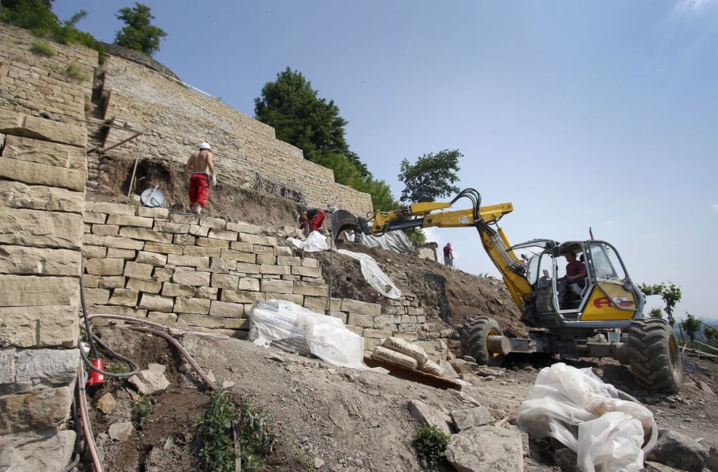 2012: Sanierung der Weingärten am Hohenasperg