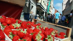 Erdbeerfest in der Küferstraße
