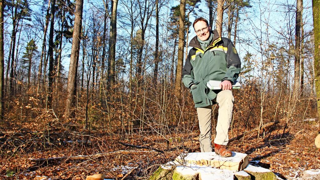 Botnang: Holzernte im Naturschutzgebiet sorgt für Frust