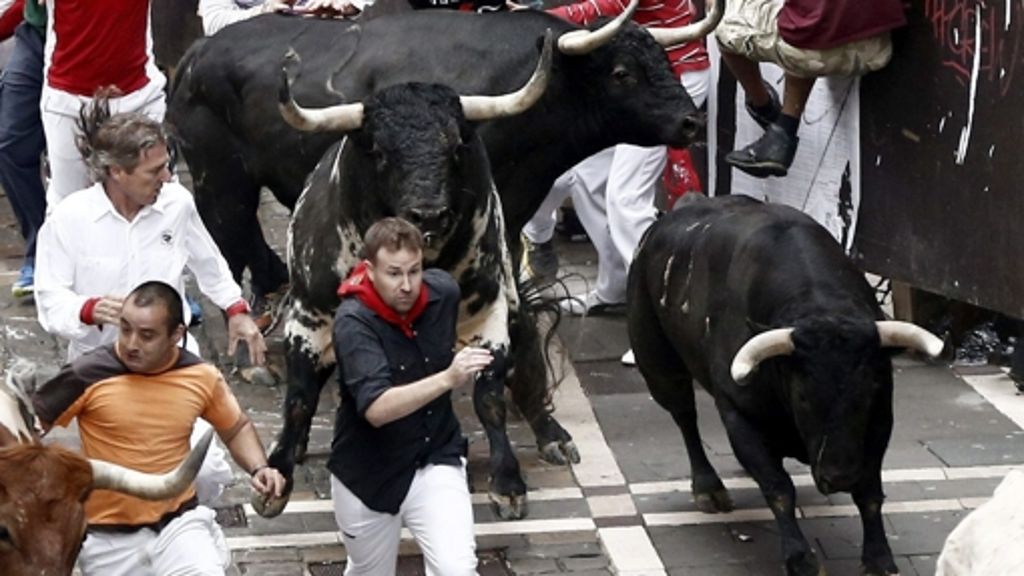 Du läufst. Stiere sterben: Stierhatz in Pamplona lockt die Massen