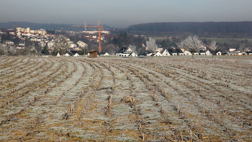 Göppingen-Faurndau: Schutzgemeinschaft Dittlau gegründet: Gegenwind für Baugebietspläne wird stärker