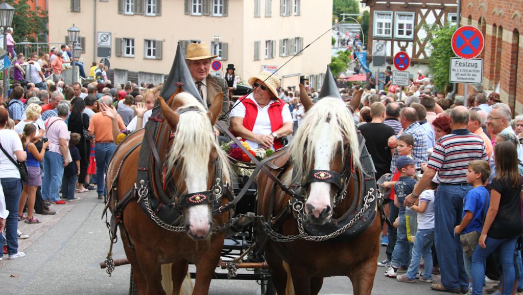 Pferdemarkt in Bietigheim-Bissingen: 10 Fakten zum Pferdemarkt