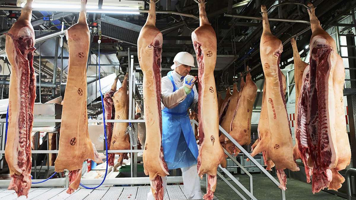 In Tönnies-Fleischfabrik: 400 Mitarbeiter positiv auf Coronavirus getestet
