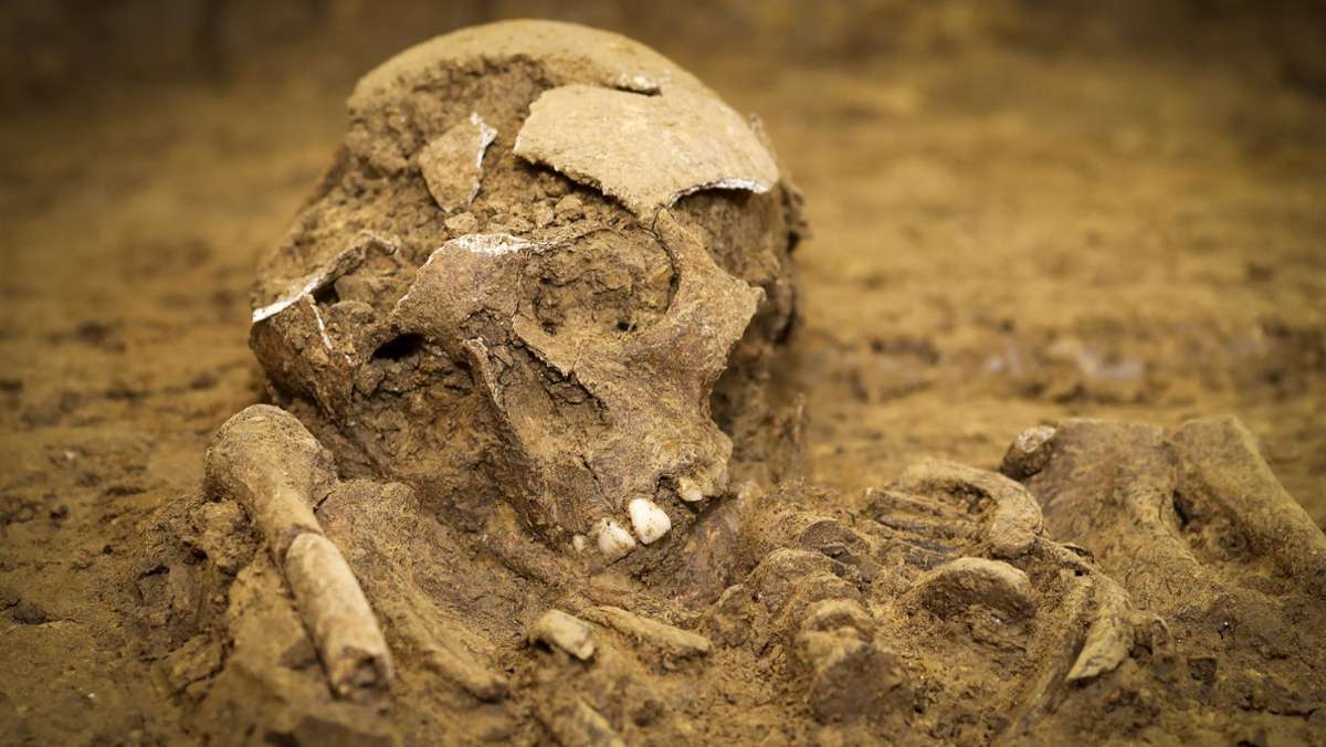 Kloster Hegne in Allensbach: Drei Skelette beim Schulneubau gefunden