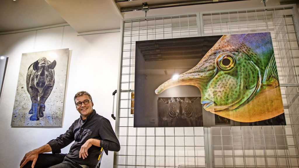 Tierporträts von Stefan Brusius in Waiblingen: Warten auf den richtigen Augenblick
