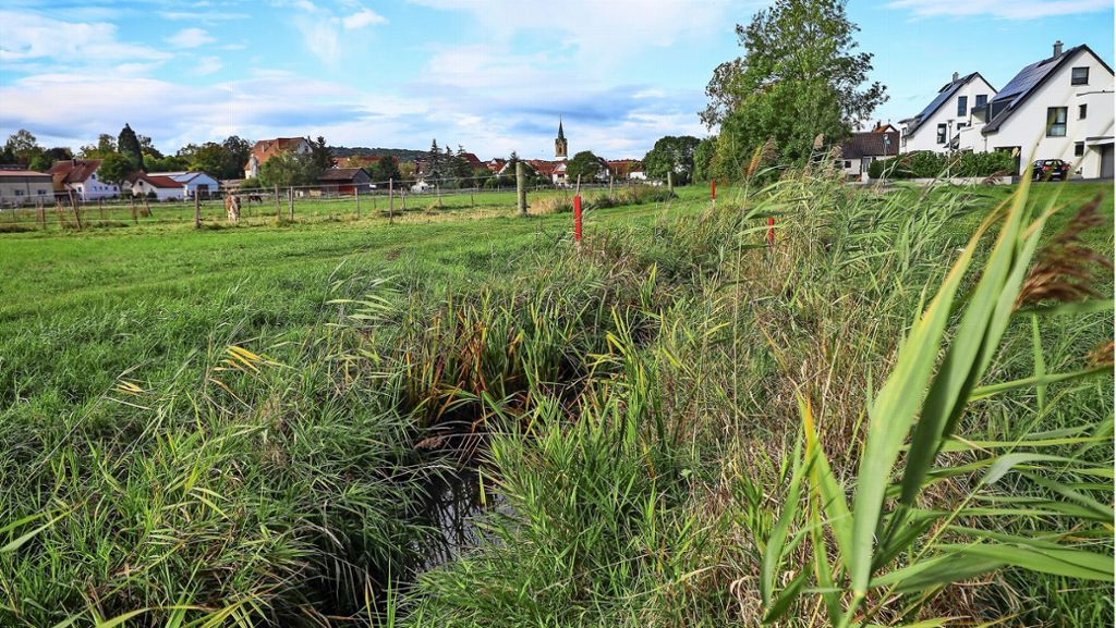Hochwasserschutz Renningen: Der Maisgraben bekommt Kurven
