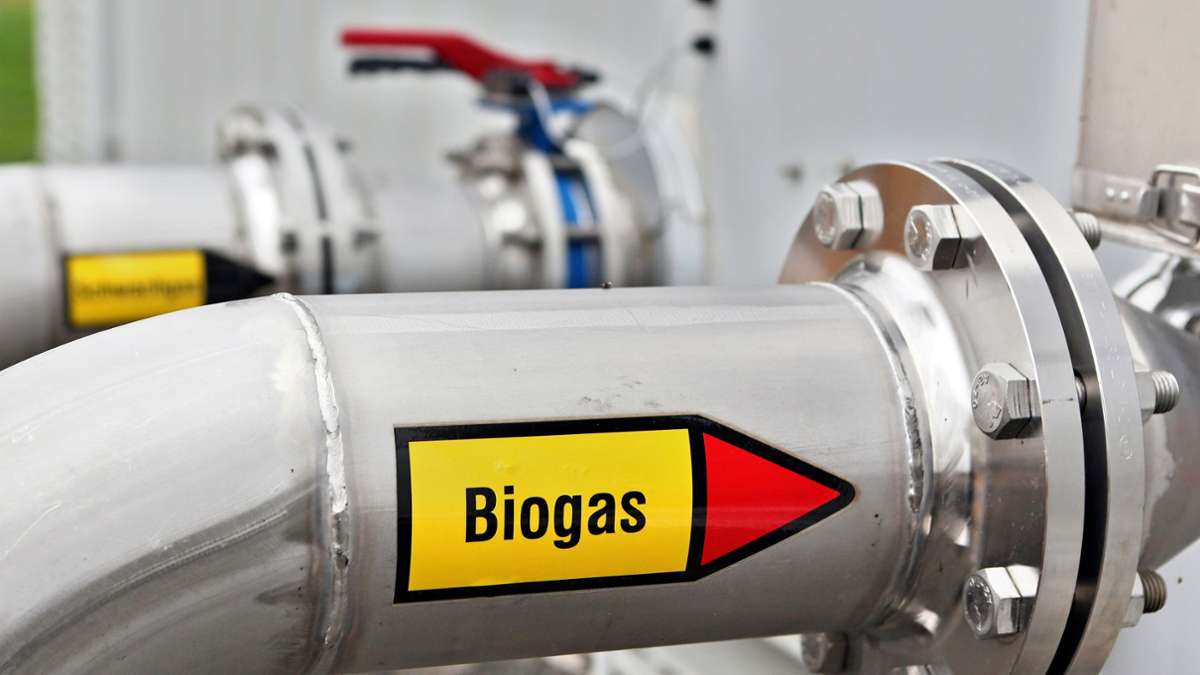 Insolvente bmp greengas: Die EnBW will die verstoßene Tochter retten