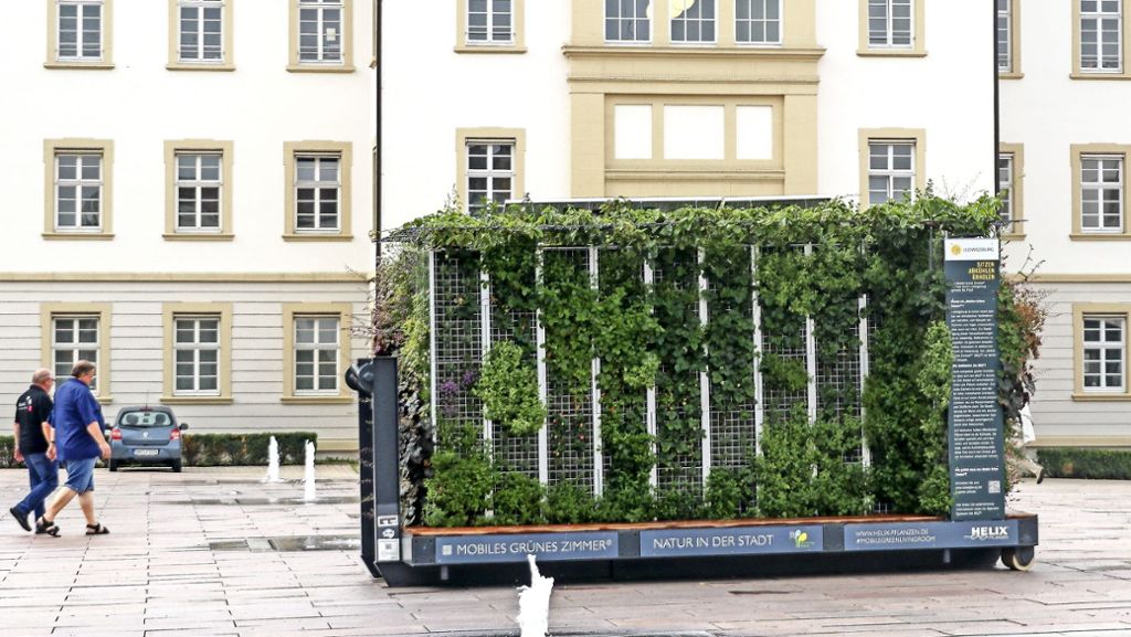 Kolumne Ludwigsburg: Grünes Gewissen auf Rädern