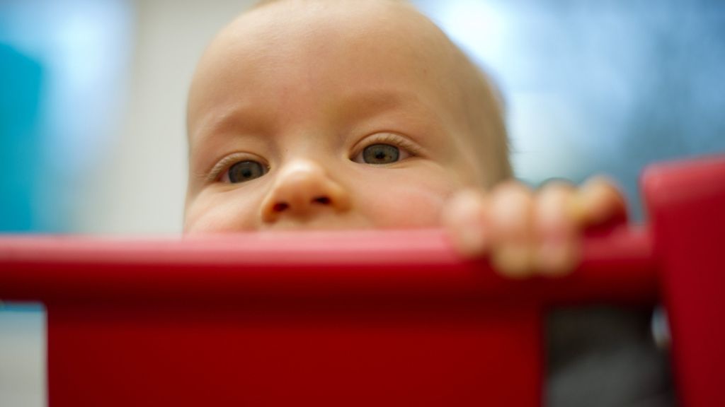 Babynahrung: Hipp ruft Frühstücks-Ringe für Kinder zurück