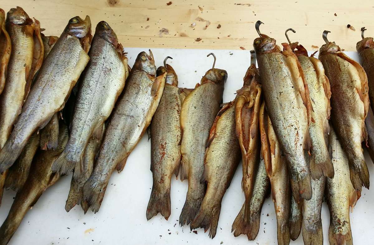 Gute Nachrichten für Forellenliebhaber: Die Advents-Aktion findet statt. Foto: Fischereiverein Weil
