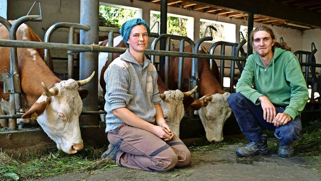 Debatte über artgerechte Viehhaltung: Brauchen Kühe Hörner?