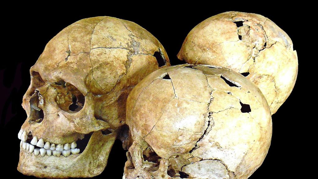 Ausstellung im Museum Ulm: Hart, brutal, kurz: vom Leben der Steinzeitmenschen