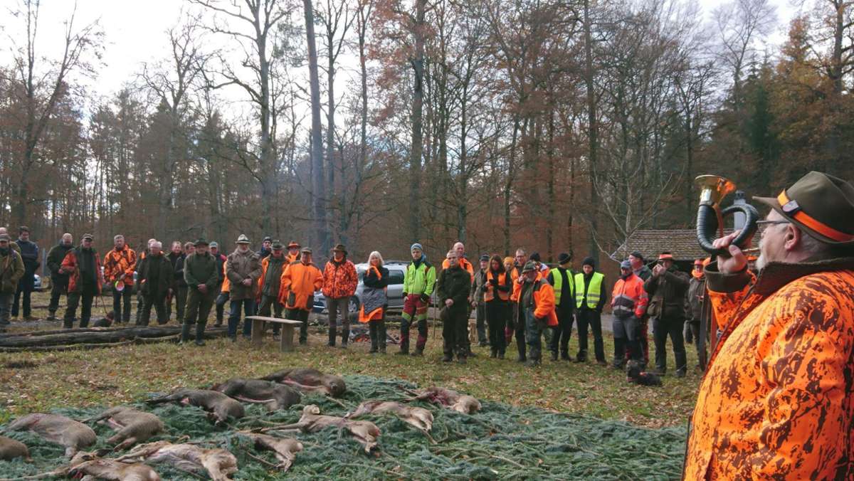 Drückjagd im Schönbuch: 350 Jäger wollen Wild zur Strecke bringen