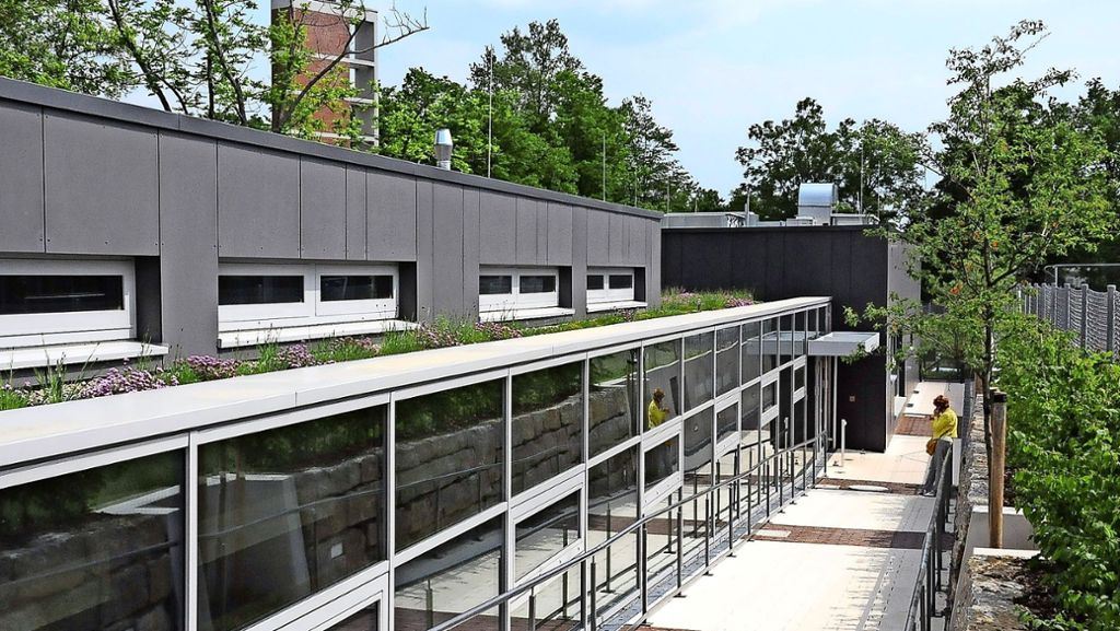Mühlbachhofschule in Stuttgart-Nord: Viel Raum für den Ganztagsunterricht