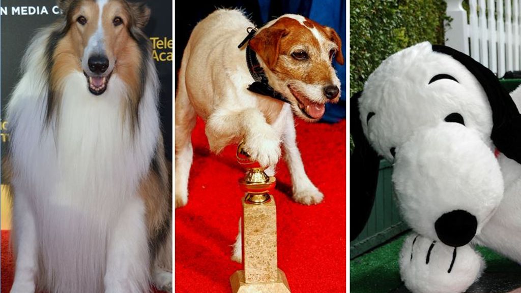 Tag des Hundes: Das sind die zehn besten Film-Hunde