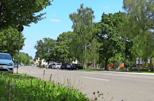 Die Osterbronnstraße gilt als Alltagsverbindung für Radfahrer und soll deshalb umgestaltet werden. Foto: Sandra Hintermayr