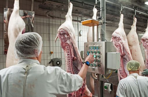 In den größeren Fleischbetrieben des Landes sollen die Hygienebedingungen verschärft werden. Foto: picture alliance/dpa/Ingo Wagner