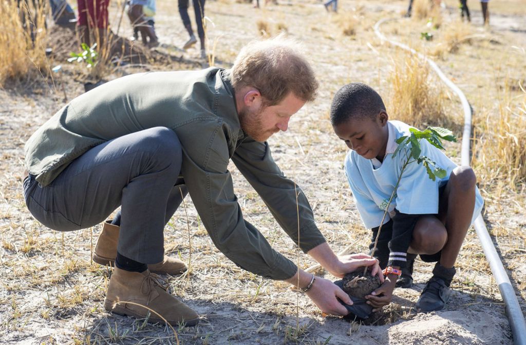 Und noch ein kleines Bäumchen pflanzt Harry mit Hilfe eines Jungen im Chobe-Nationalpark – nicht ganz so viel Arbeit.
