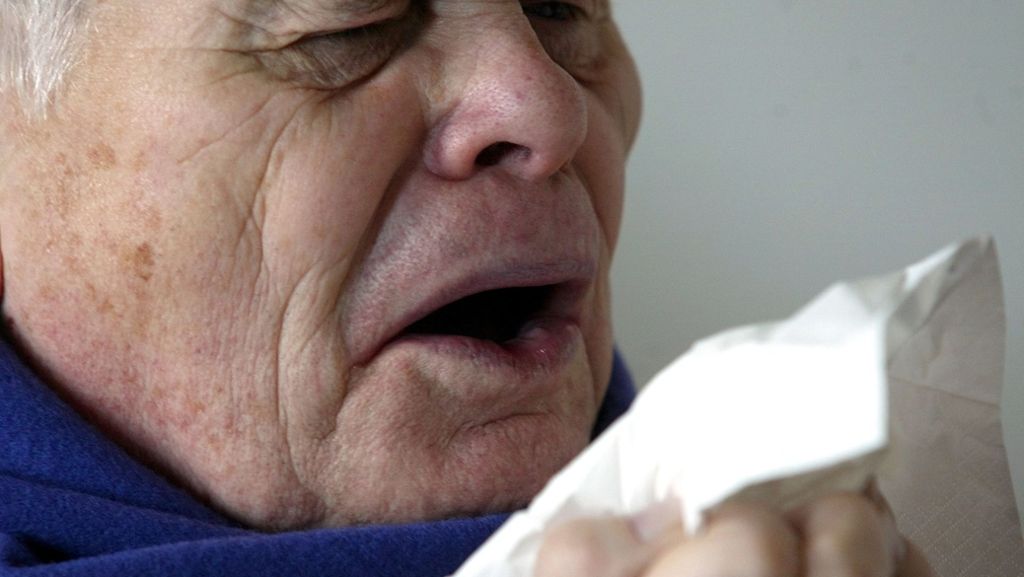 Allergien bei Senioren: Alter schützt vor Heuschnupfen nicht