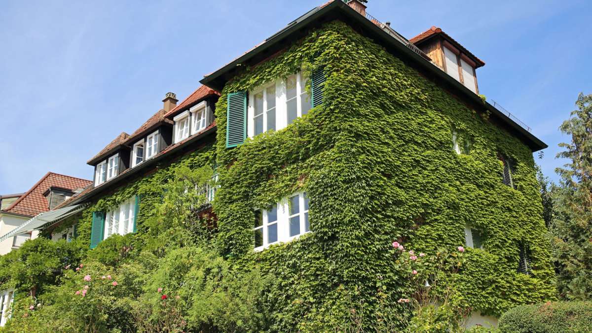 Bepflanzte  Fassaden in Stuttgart: Hier blüht das grünste Haus der Stadt