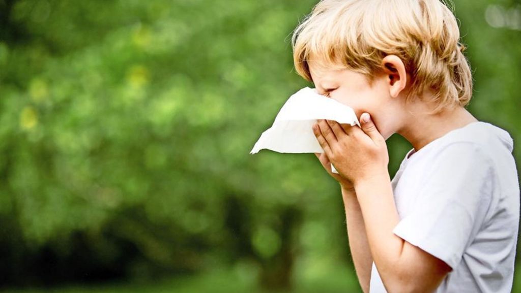Allergien: Wie man Heuschnupfen vorbeugen kann