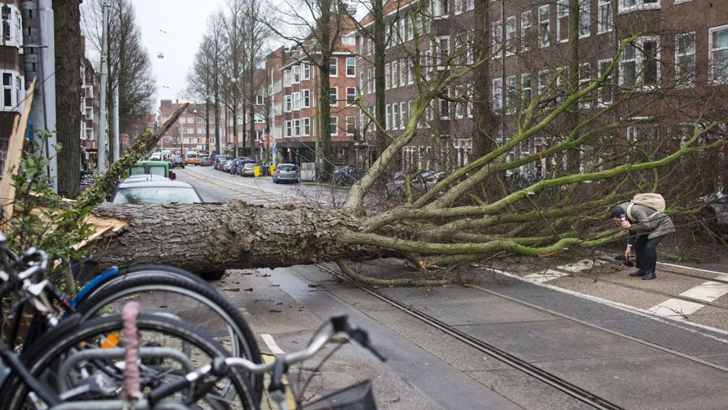 „Friederike“: Orkan tötet in Westeuropa mindestens drei Menschen
