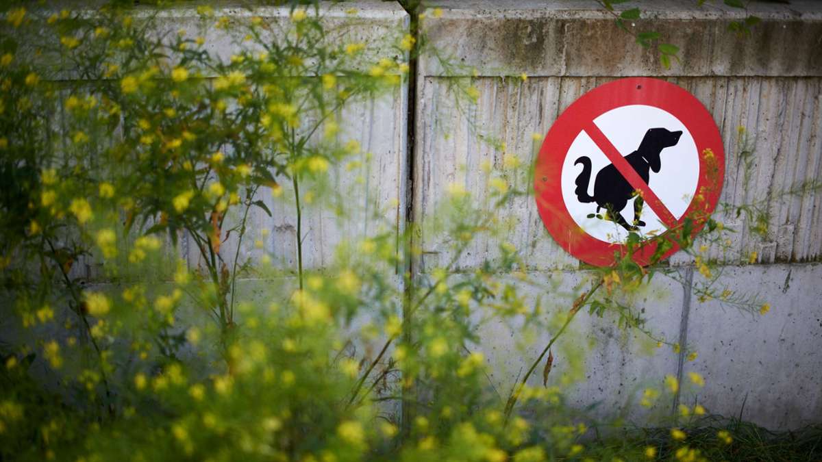 Kampf gegen Kothäufchen: Südtirol erfasst DNA von Hunden