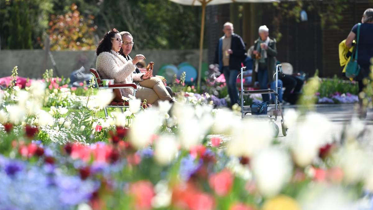 Überlinger Landesgartenschau: Blumenschau am Bodensee ist eröffnet