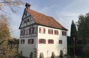 Damen-Quartett stellt in Burg Kalteneck aus