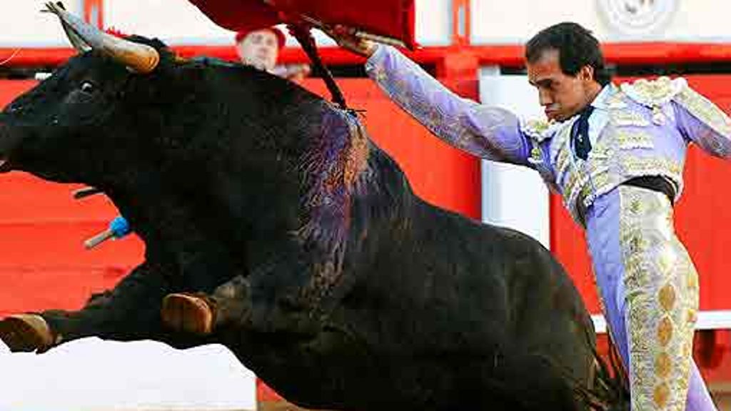 Spanische Tradition: Katalonien verbietet Stierkampf