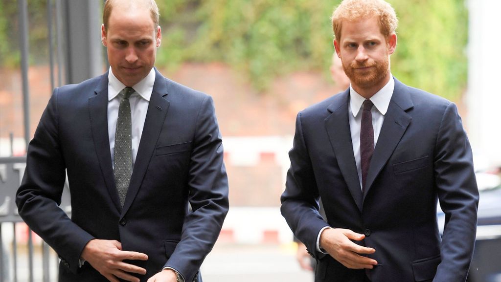 Stellungnahme der Prinzen: Harry und William empört über Zeitungsartikel