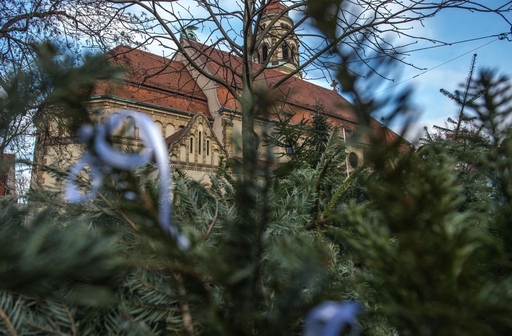 Länger als geplant liegen auch an der Markuskirche ausgediente Christbäume. Foto: Lichtgut/Max Kovalenko