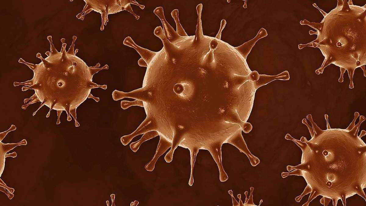 Entstehung des Coronavirus: Labor statt Wildtier? Forscher kritisieren These zu Corona-Ursprung