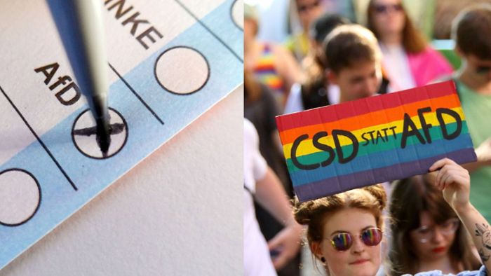 Wir fragen einen Stuttgarter Wissenschaftler: Warum wählen junge Leute die AfD und was hat Tiktok damit zu tun?