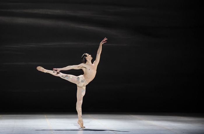 Stuttgarter Ballettstar   tanzt in den Modehimmel