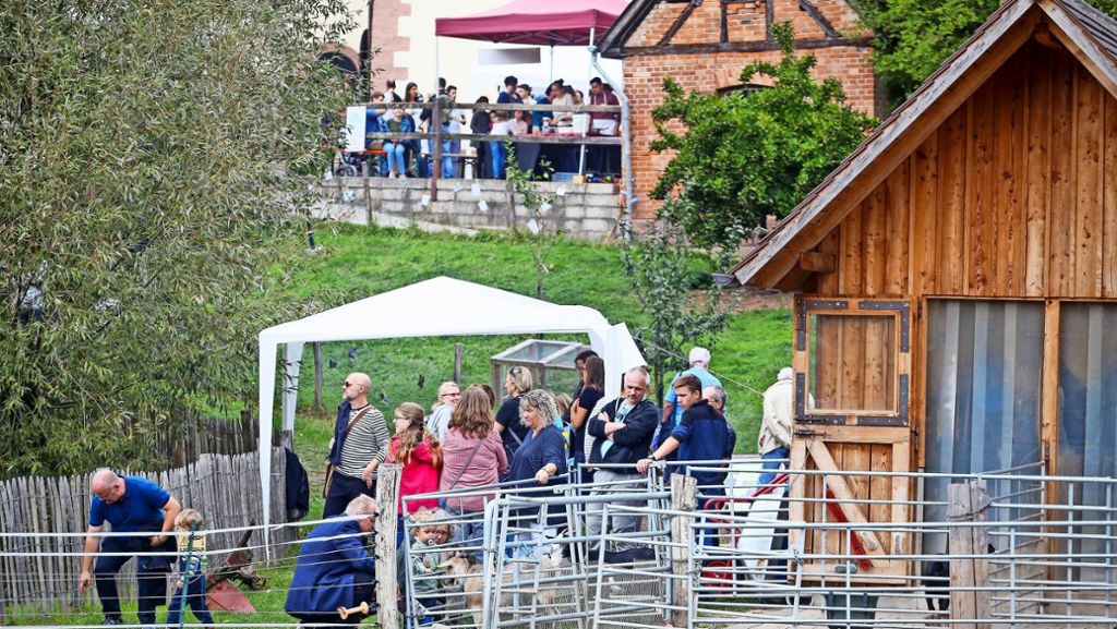 Seehaus Leonberg: Das Seehaus – von der Vision zur Erfolgsgeschichte