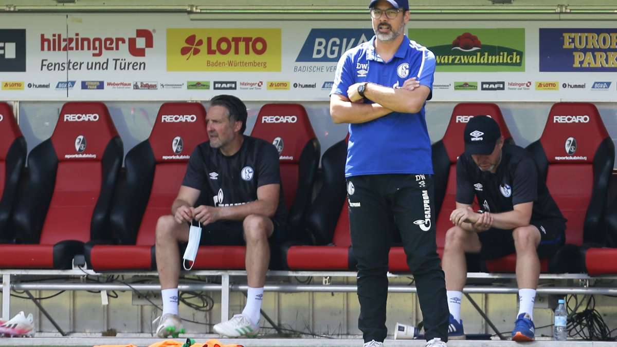Chaos um 1. FC Schweinfurt: Gericht stoppt Schalke-Spiel im DFB-Pokal